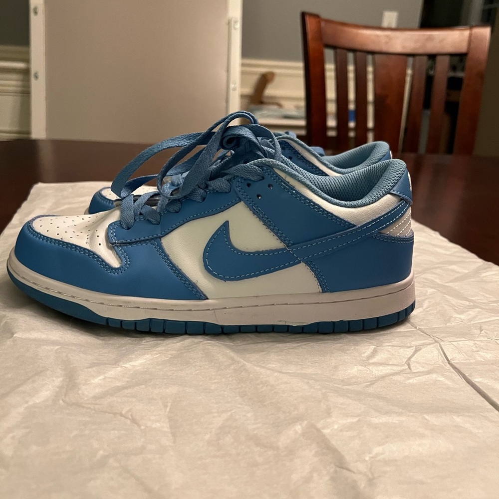 Nike Dunk Low UNC Shoes